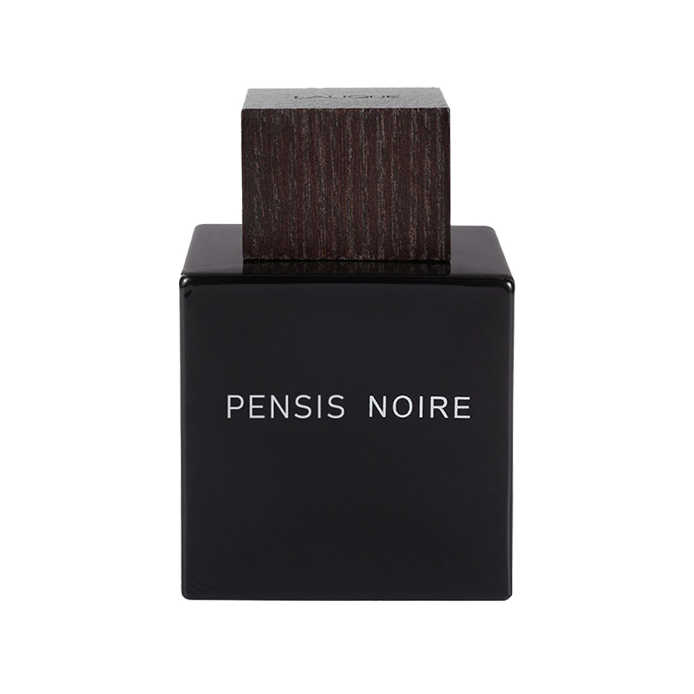 ادوپرفیوم مردانه پنسیس مدل Encre Noire حجم100میل